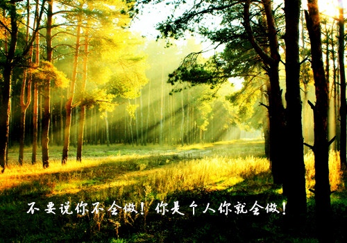 有太阳的爱情短句 关于太阳爱情的句子唯美(图1) 有太阳的爱情短句 关于太阳爱情的句子唯美(图1)