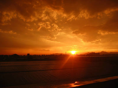 有关懂你的唯美句子 关于懂你的短句(图1) 有关懂你的唯美句子 关于懂你的短句(图1)