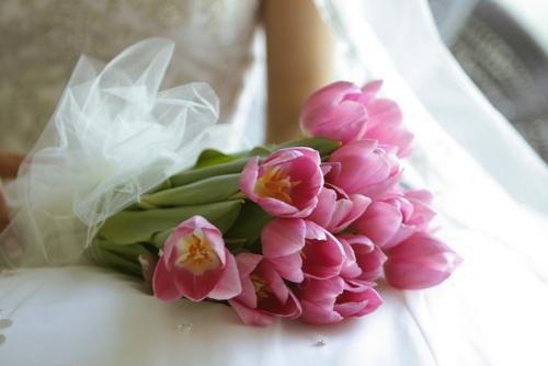 有关植物优美句子 有关植物的优美语句短的(图1) 有关植物优美句子 有关植物的优美语句短的(图1)