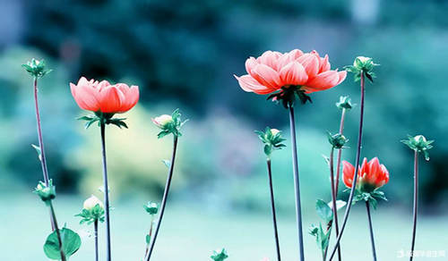 朋友圈有趣的说说文字 朋友圈有趣的说说文字图片(图1)