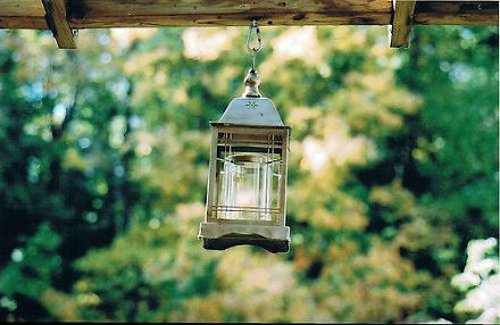 有关生态环境的优美句子 关于生态环境的简短句子精辟(图1)