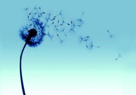 有关贪念的名言警句 有关贪念的名言警句大全(图1)