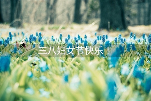 朝花夕拾积累的优美句子 朝花夕拾的好句和好词(图1) 朝花夕拾积累的优美句子 朝花夕拾的好句和好词(图1)