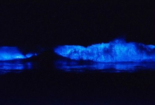 李白台词超燃短句 李白的台词(图1)