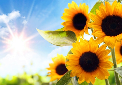 来不及等待的唯美句子 来不及等待的唯美句子短句英语(图1)