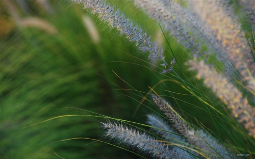 有钱能使鬼推磨的格言 有钱能使鬼推磨的典故(图1) 有钱能使鬼推磨的格言 有钱能使鬼推磨的典故(图1)