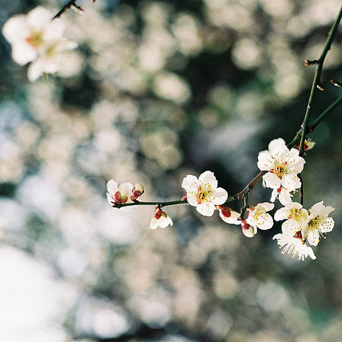 朋友之间的相处之道格言 朋友之间的相处之道,句句扎心的句子(图1) 朋友之间的相处之道格言 朋友之间的相处之道,句句扎心的句子(图1)