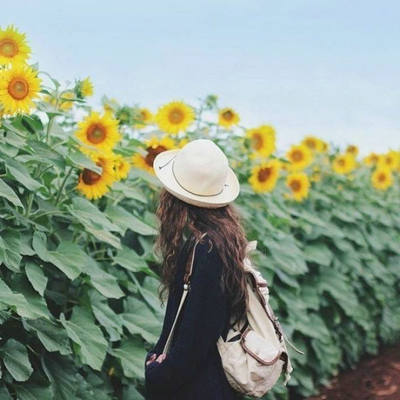 朋友相聚是缘分的说说 朋友相聚是缘发发朋友圈怎么写(图1) 朋友相聚是缘分的说说 朋友相聚是缘发发朋友圈怎么写(图1)