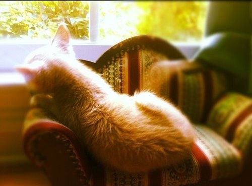 李白的悲伤文案的短句(图1) 李白的悲伤文案的短句(图1)