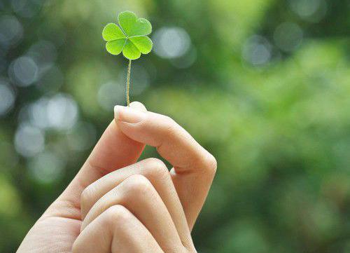 朱子的治家格言注音版 朱子治家格言原文带拼音(图1)