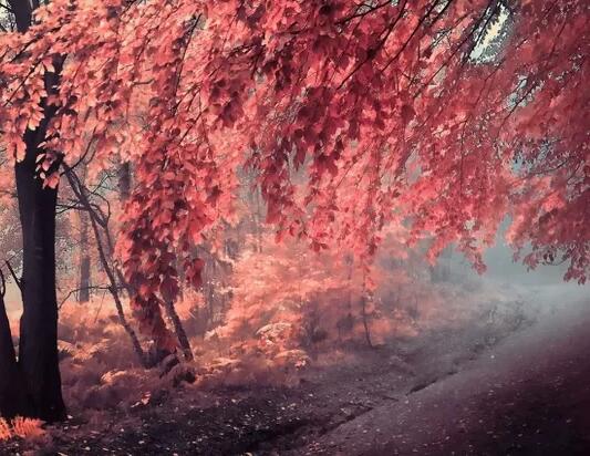 桂林话方言霸气说说 桂林话教学视频(图1)