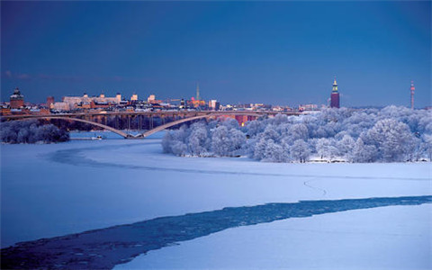 森系婚礼文案短句干净 森系婚礼的主题文案(图1) 森系婚礼文案短句干净 森系婚礼的主题文案(图1)