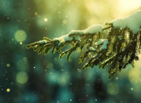 杨紫生日文案短句 杨紫生日视频2020(图1) 杨紫生日文案短句 杨紫生日视频2020(图1)