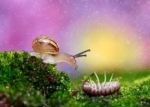 欢迎新同学的优美句子 一句有文采的欢迎词(图1) 欢迎新同学的优美句子 一句有文采的欢迎词(图1)