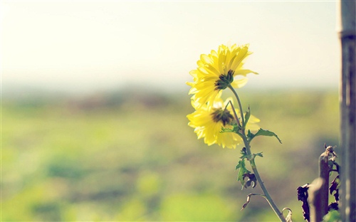 林俊杰歌词语录励志 林俊杰歌词中的佳句(图1)