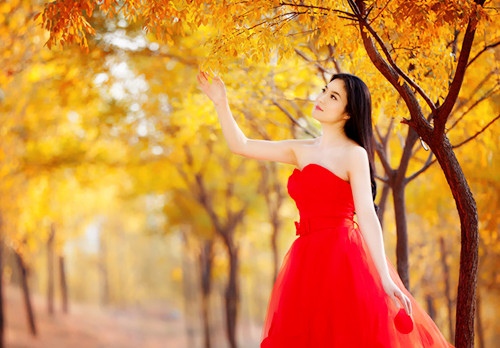 枫叶银杏的诗句优美句子 枫叶银杏的诗句优美句子有哪些(图1)