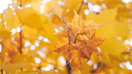 正能量励志短句霸气十字 正能量励志短句霸气十字图片(图1)