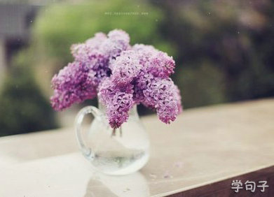 树叶书签关于格言 树叶书签怎么写(图1) 树叶书签关于格言 树叶书签怎么写(图1)