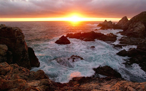 树影斑驳唯美十字短句 树影斑驳什么意思是什么(图1)