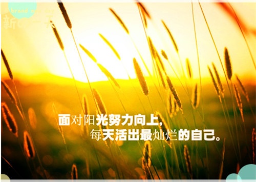 核桃树的生长过程简图说说 核桃树的生长过程是什么样的(图1)