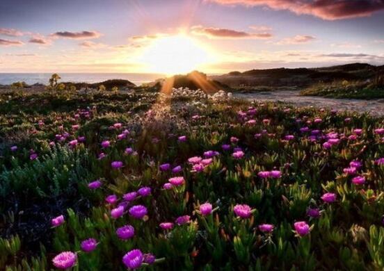 每日摘抄精辟句子短句 每日摘抄美文(图1)