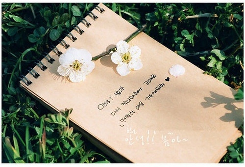 民宿旅游文案短句 欢迎入住宾馆的广告语(图1)