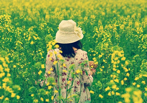 母亲背影优美句子 有关母亲背影的经典句子(图1)