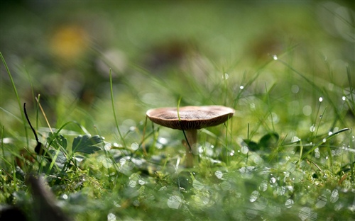 泰坦尼克号歌词短句励志 《泰坦尼克号》歌曲(图1)