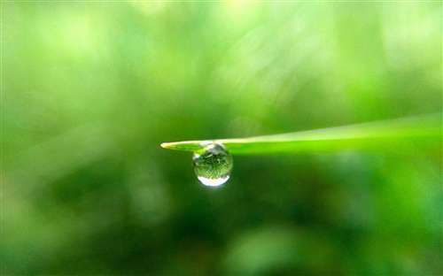 注重格言的真实性 格言的作用是什么(图1) 注重格言的真实性 格言的作用是什么(图1)