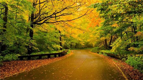 流浪歌歌词短句温柔 歌词流浪歌(图1)