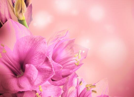 温馨提示文案短句 温馨提示软文(图1) 温馨提示文案短句 温馨提示软文(图1)