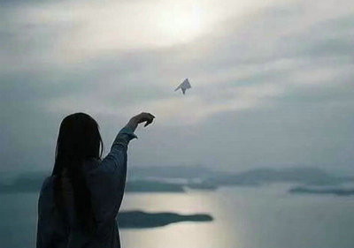 滇池海鸥的唯美句子 赞美滇池海鸥的名言(图1)