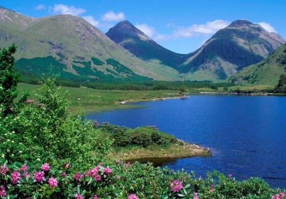 治病救人的优美句子 治病救人的标语(图1)