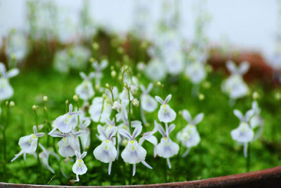 激励精神的励志句子 精神激励着每一个人(图1) 激励精神的励志句子 精神激励着每一个人(图1)