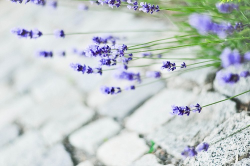 照片文案短句100句 照片文案说说(图1)