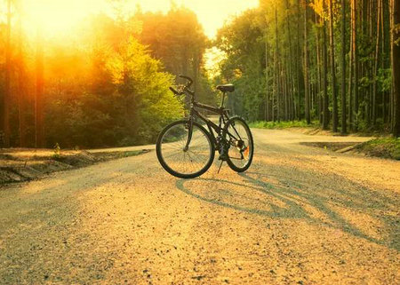 爱与陪伴语录短句 爱和陪伴的句子(图1)