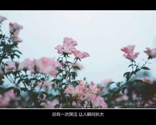 父母一天变老了的说说 父母一天一天的老去(图1)