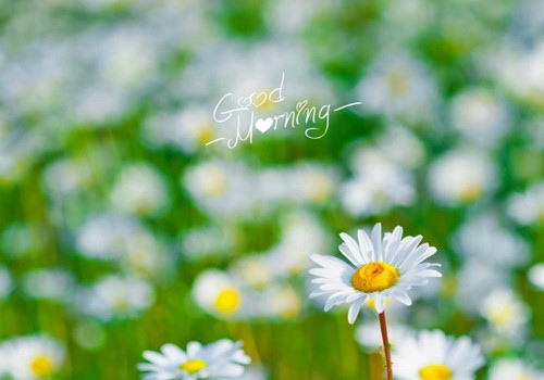 牵手一起走的句子励志 牵手一起走唯美图片(图1)