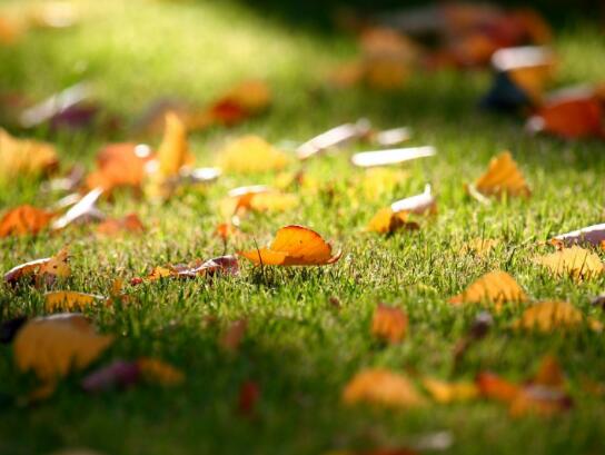 狄更斯名言文案短句 狄更斯的名言和解释(图1) 狄更斯名言文案短句 狄更斯的名言和解释(图1)