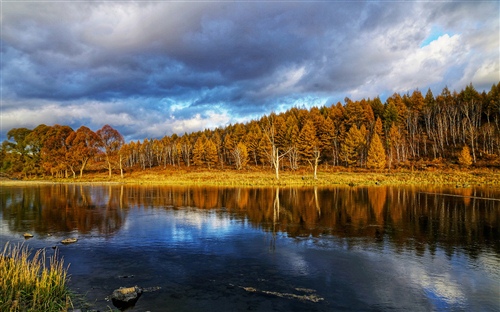 独自行走唯美句子 一个人安静独处经典句子(图1) 独自行走唯美句子 一个人安静独处经典句子(图1)