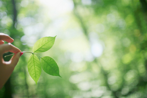 王者的名言名句狂铁 王者励志语录狂铁(图1)