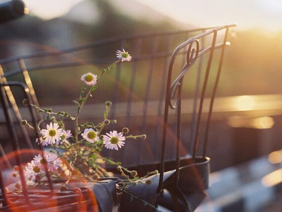 班主任带班理念格言 班主任带班理念格言怎么写简短(图1)