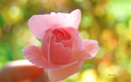 爸爸和女儿合照幸福说说 爸爸和女儿合影 同一个地方(图1)