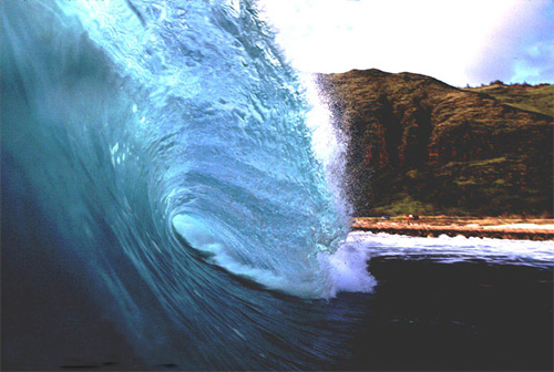 牛年快乐文案短句 牛年快乐语句(图1)