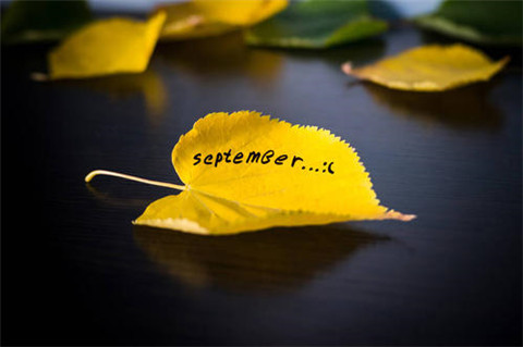 用我多想造句的说说 用我多想造句一年级 一句话(图1) 用我多想造句的说说 用我多想造句一年级 一句话(图1)