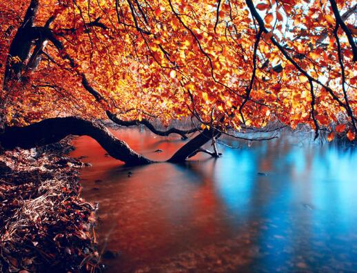 男人三十岁情感语录 男人三十岁感悟的话(图1)