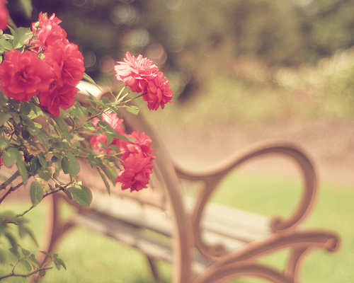 登高望远的励志唯美句子 登高望远的励志唯美句子短句(图1) 登高望远的励志唯美句子 登高望远的励志唯美句子短句(图1)