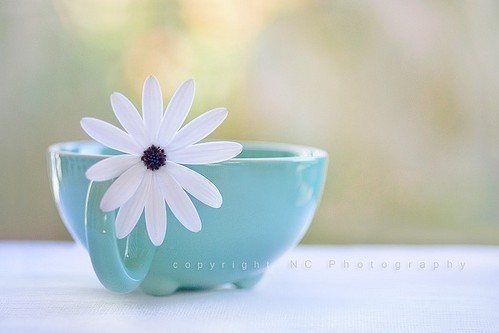 盗墓笔记王蒙的经典语录 盗墓笔记王萌图片(图1)