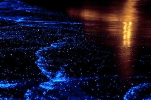 相亲时对话经典语录 相亲对话搞笑(图1)