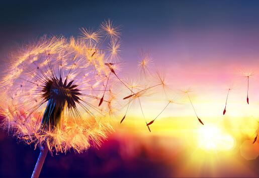 相爱到老的唯美句子 相爱到老的文案简短(图1)